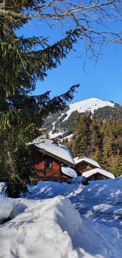 Le Chalet De Nabor Les Gets Exterior photo